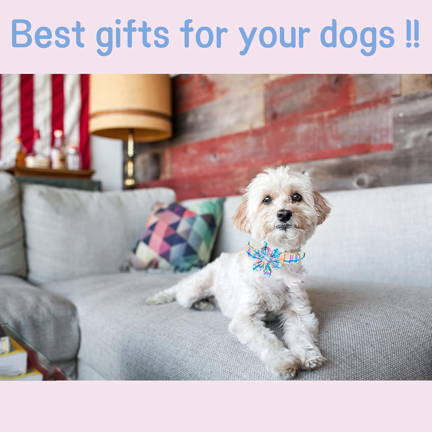 Unique style paws Easter Day Dog Collar with Flower Tie Blue Pink Grid Puppy Collar for Small Medium Large Boys Girls