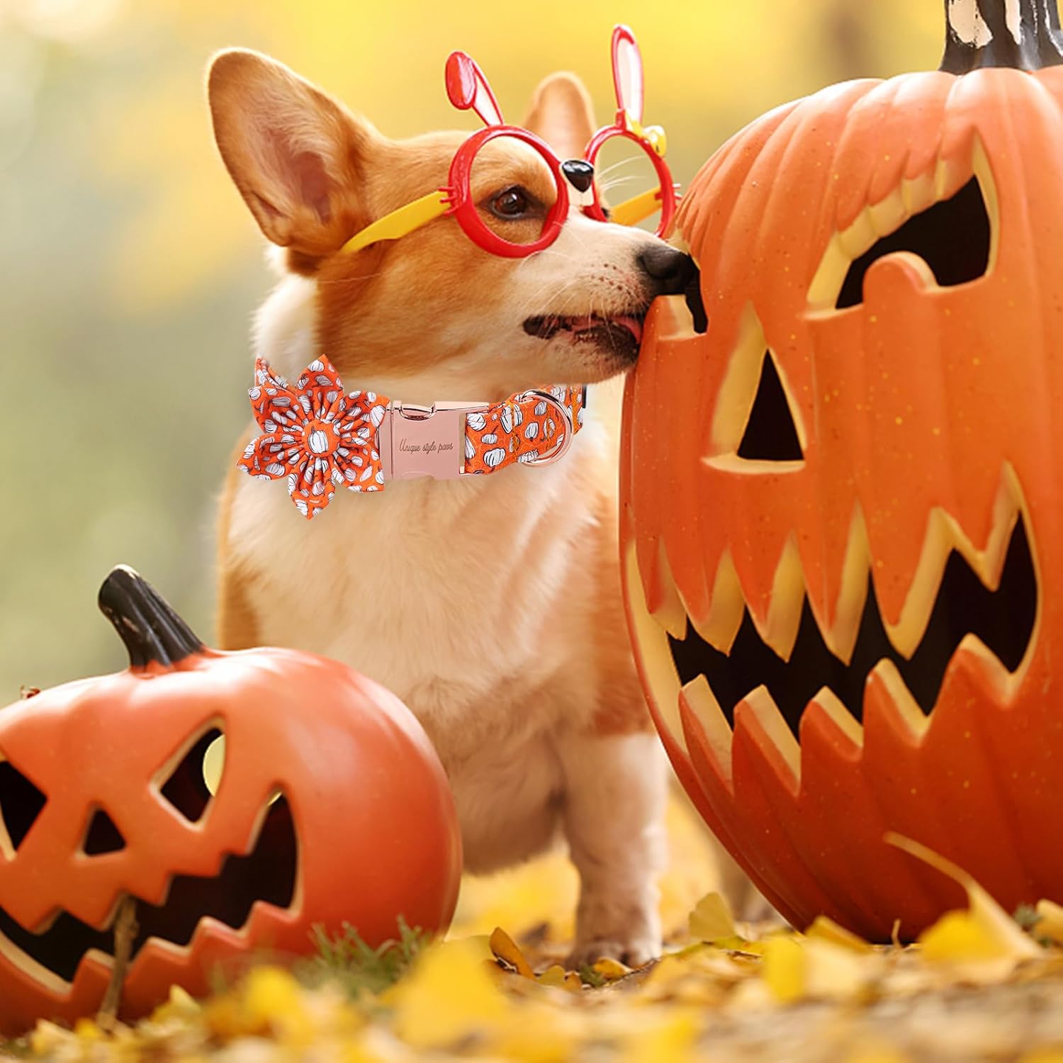 Unique Style Paws Halloween Day Dog Collar with Flower Bow Line Pumpkin Cotton Dog Collars for Small Medium Large Dogs