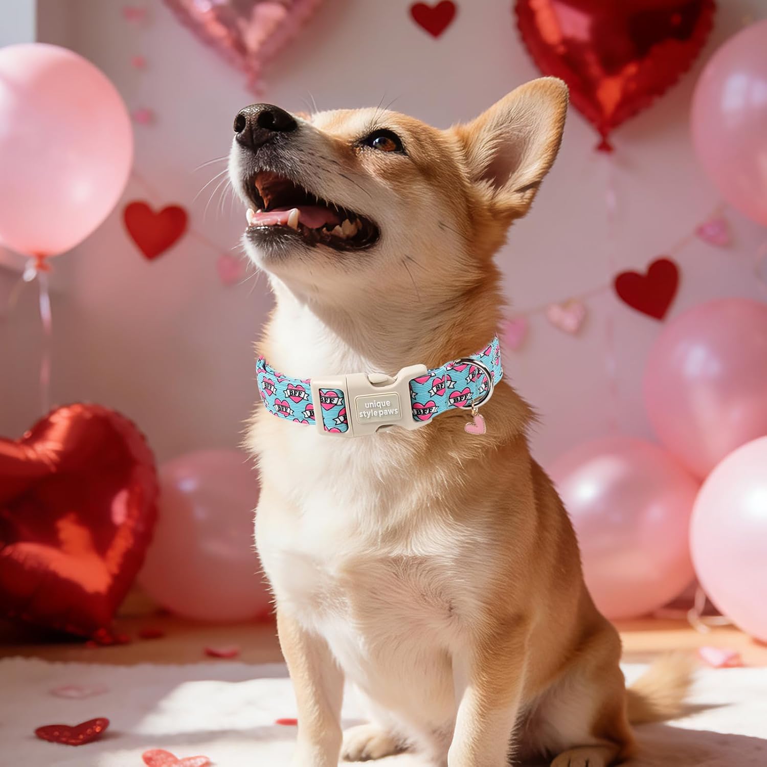 Blue Valentine Dog Collar,Unique Style Paws Dog Collar for Valentine Blue BFF Print Puppy Collars Comfortable Cotton Collars with Breakaway Buckle,Fancy Dog Gift for Lover