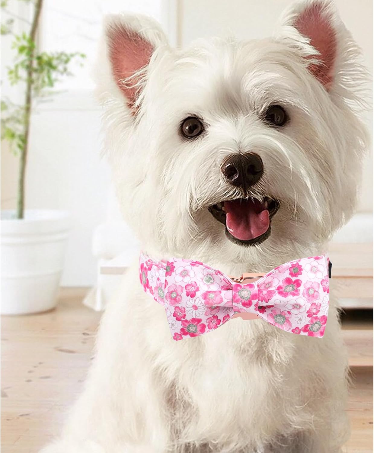 Unique Style Paws Summer Dog Collar with Bow, Lovely Bow Tie Dog Collar,Pink Flower Dog Bow for Girl,Boy Dogs,Cats,M,13.5-22in