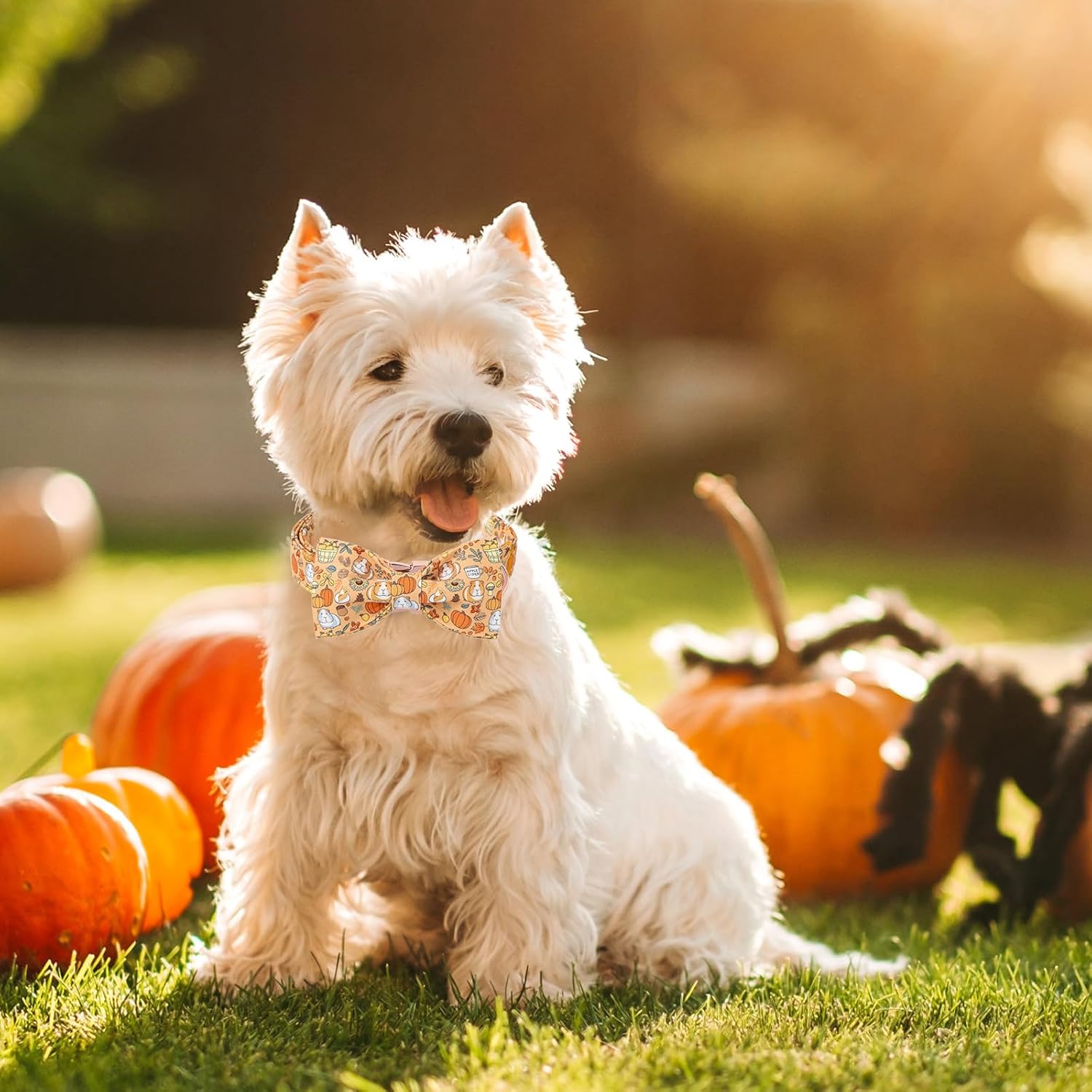Halloween Dog Collar with Bow, Unique Style Paws Pumpkin Dog Bow Collar, Fancy Pet Gift for Halloween, Fit for Small, Medium, Large Boy Girl Dogs