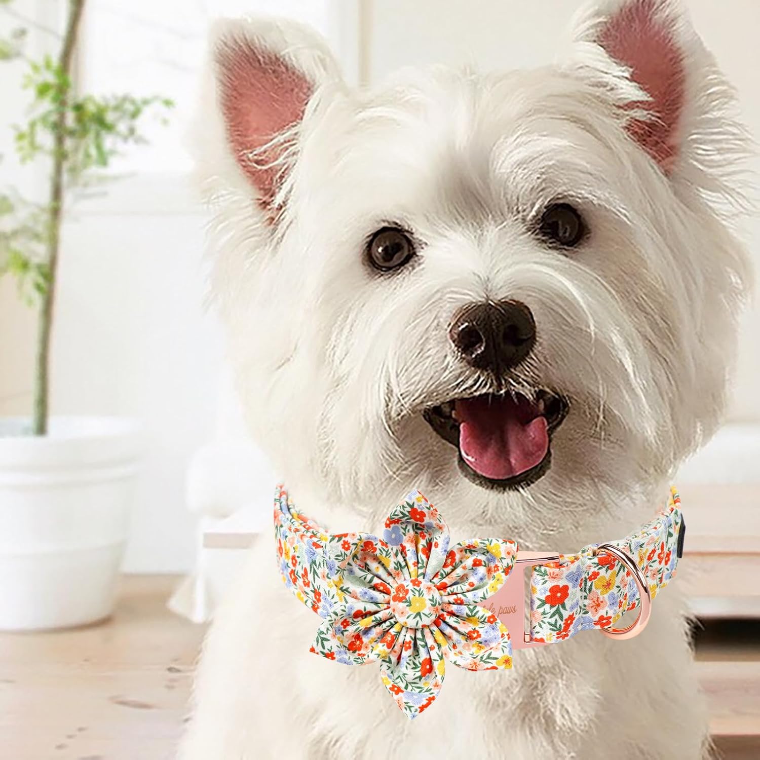 Unique Style Paws Summer Dog Collar with Floral Bow,Colorful Bow Tie Puppy Collar,Flower Pattern Dog Bow Collar for Small,Medium,Large Dogs&Cats