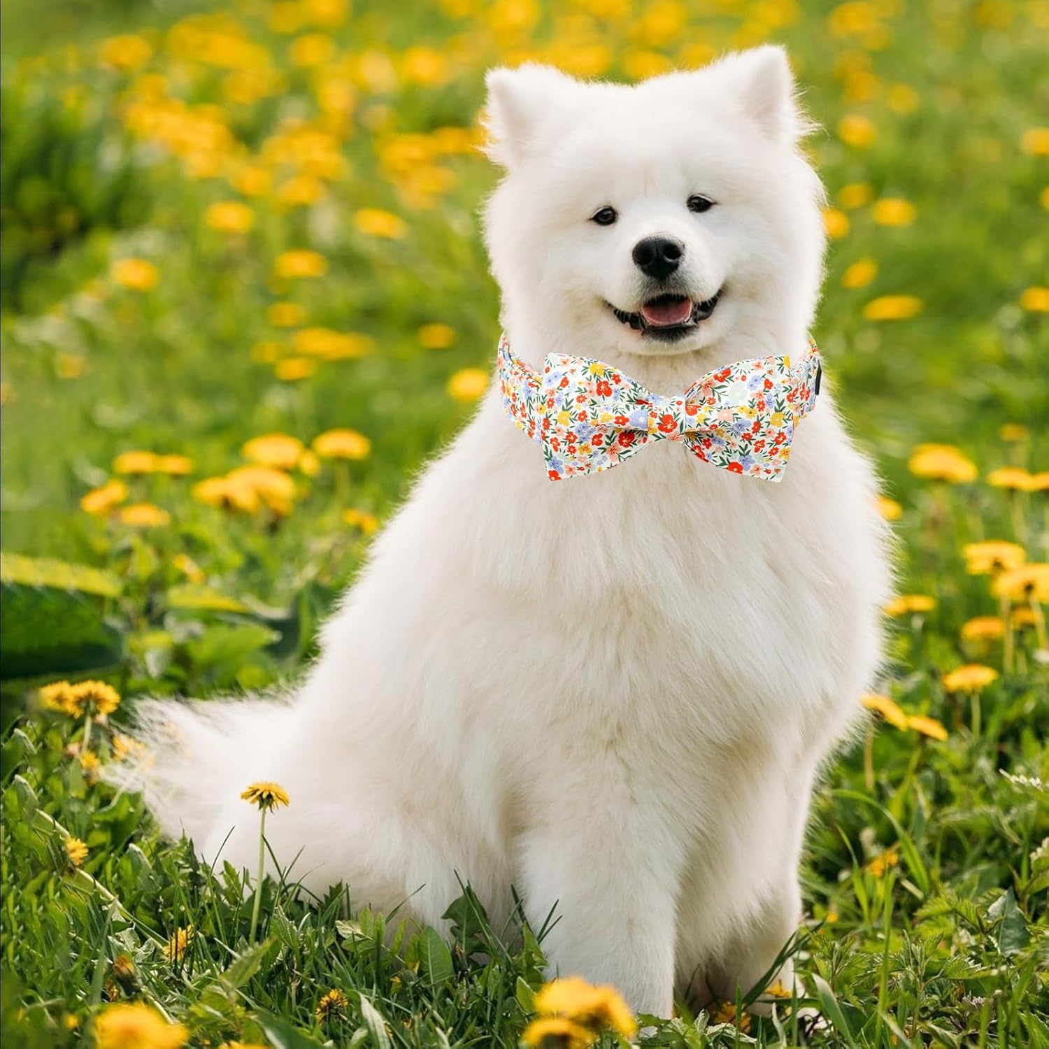 Unique Style Paws Summer Dog Collar with Bow, Lovely Bow Tie Dog Collar, Colorful Flower Dog Bow for Girl,Boy Dogs,Cats