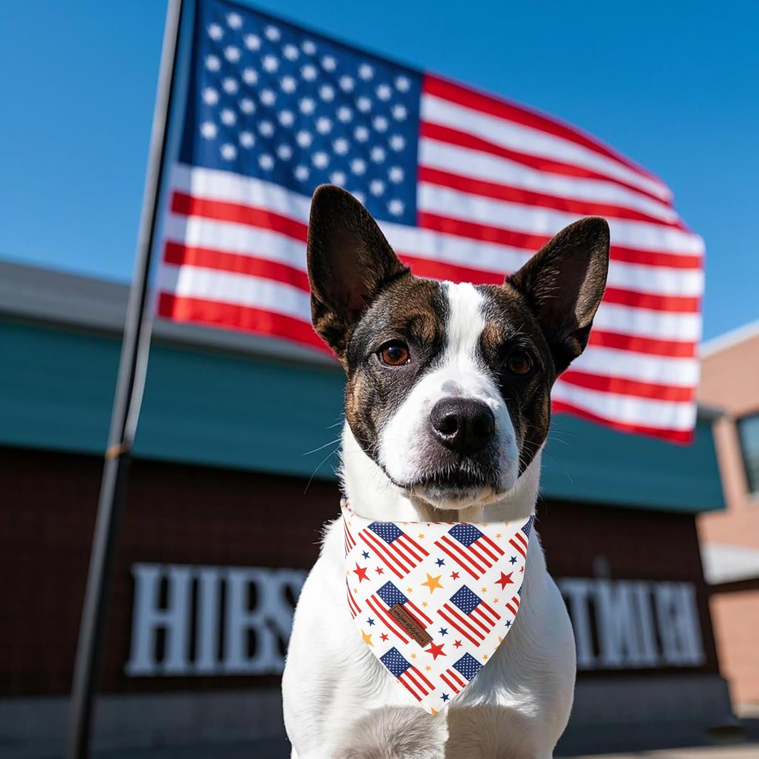 Unique Style Paws Dog Independence Bandanas 2Pcs Washable Cotton Triangle Summer Striped Star Flag Puppy Scarfs for Small Medium Large Dogs and Cats