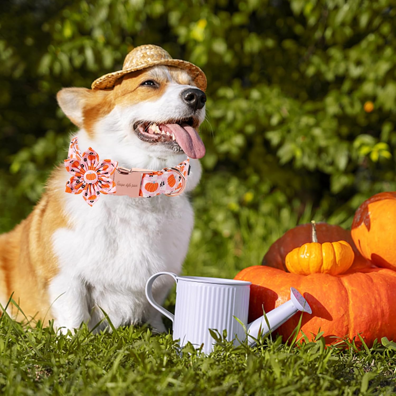 Unique Style Paws Halloween Day Dog Collar with Flower Bow Pink Pumpkin Cotton Dog Collars for Small Medium Large Dogs
