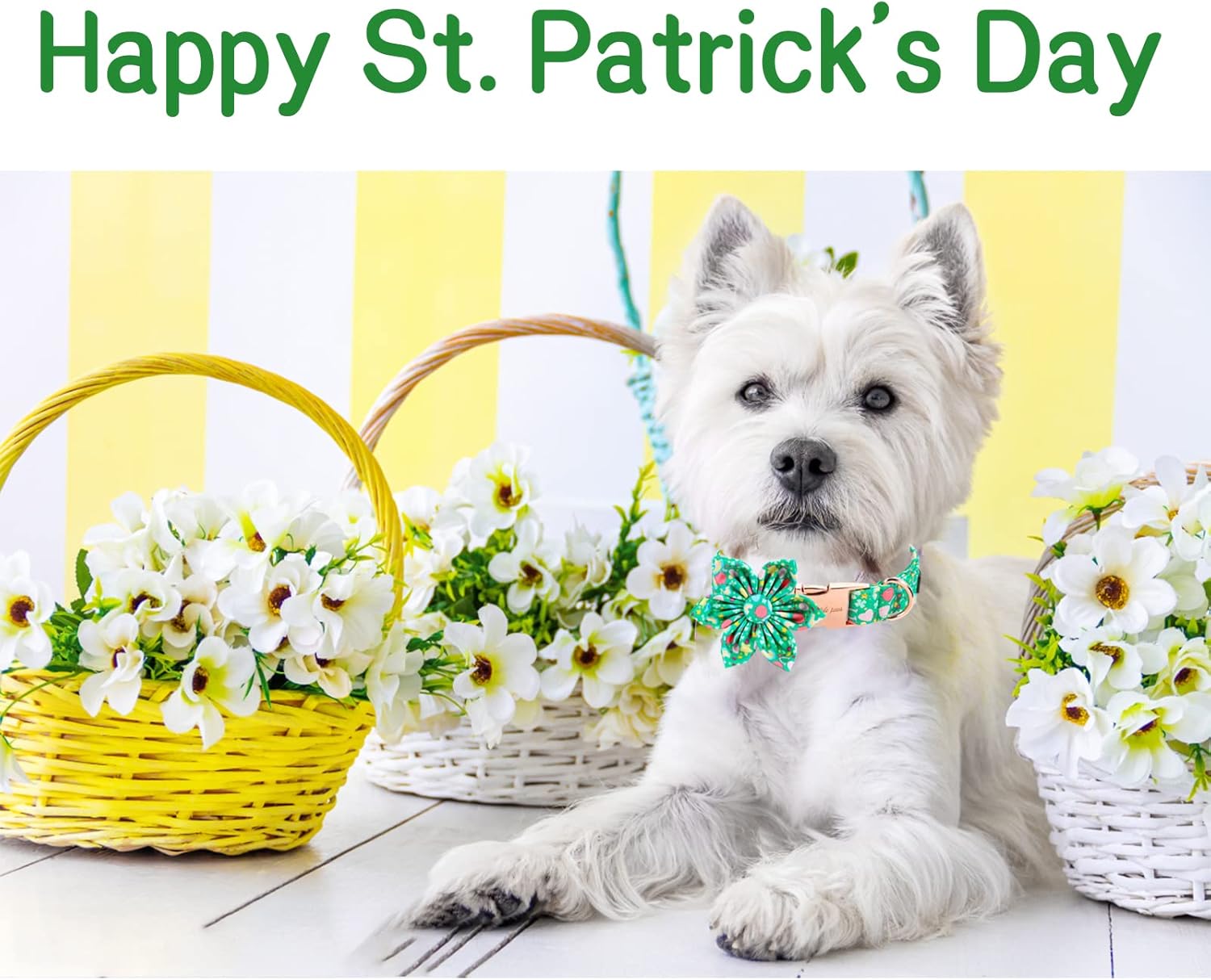 Unique style paws St. Patrick's Day Dog Collar with Flower Tie Rainbow Clover Heart Puppy Collar for Small Medium Large Boys Girls