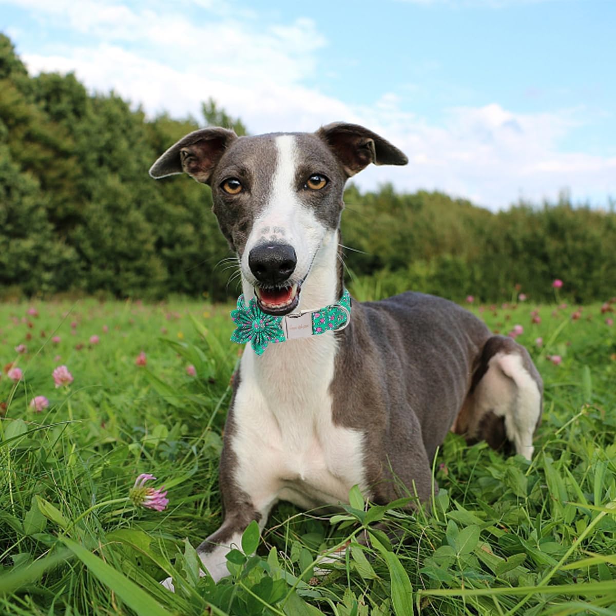 Unique style paws Cartoon Dog Collar with Bow Spring Summer Puppy Collar with Flower for Small Medium Large Boys Girls Dogs