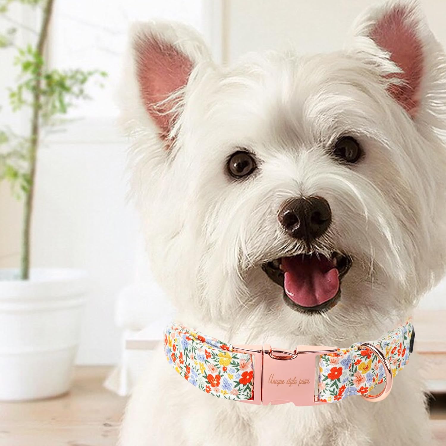 Unique Style Paws Summer Dog Collar, Cute Girl Dog Collar with Flower Pattern, Comfy&Breathable Puppy Collar for Dog,Cats Gifts