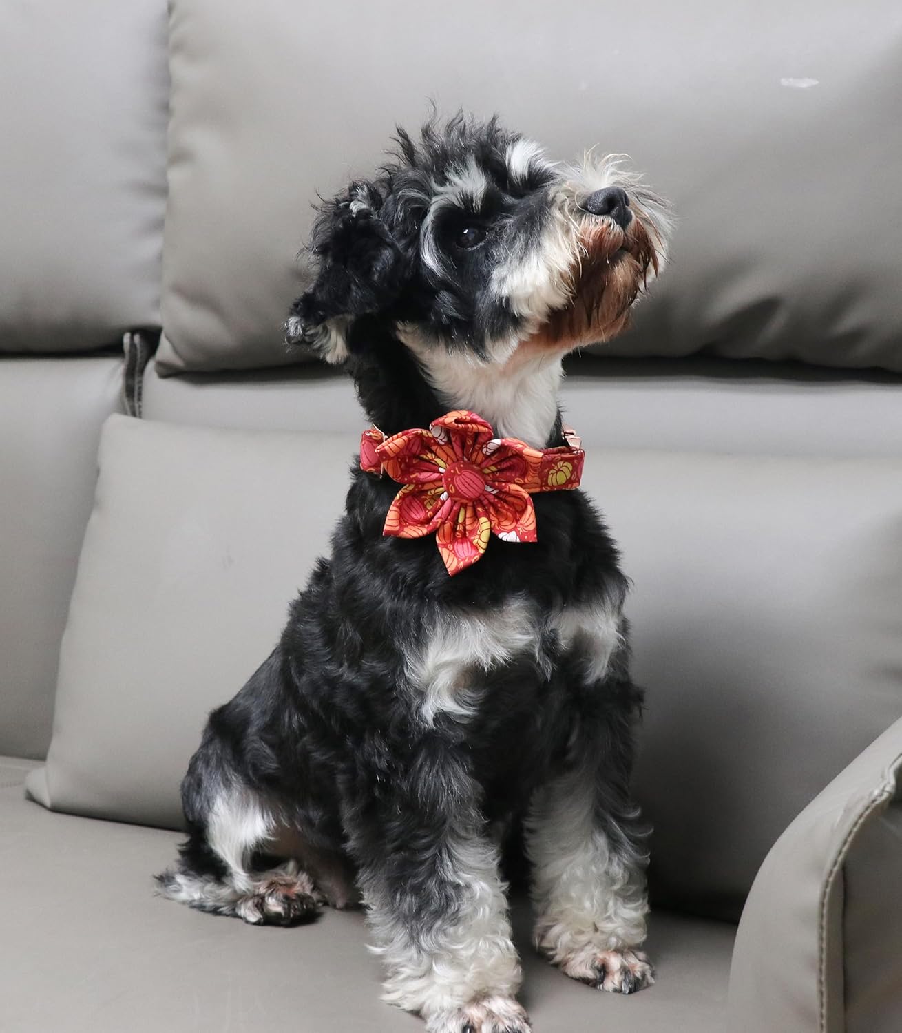 Unique style paws Unique Style Paws Halloween Dog Collar with Bow Cotton Cute Bowtie Dog Collar for Small Medium Large Dogs Holiday Dog Collar