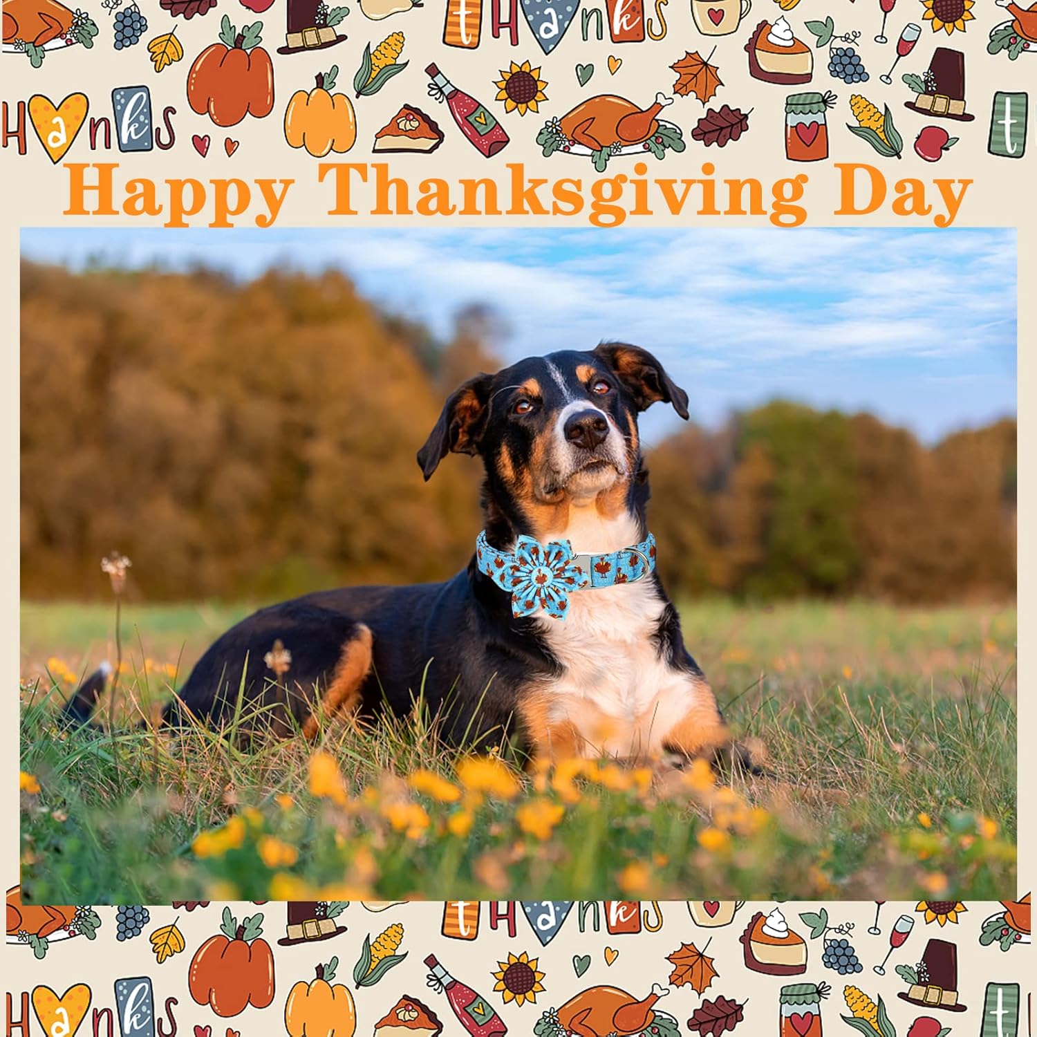 Unique style paws Thanksgiving Dog Collar with Flower Tie Autumn Turkey Theme Puppy Collar for Small Medium Large Dogs
