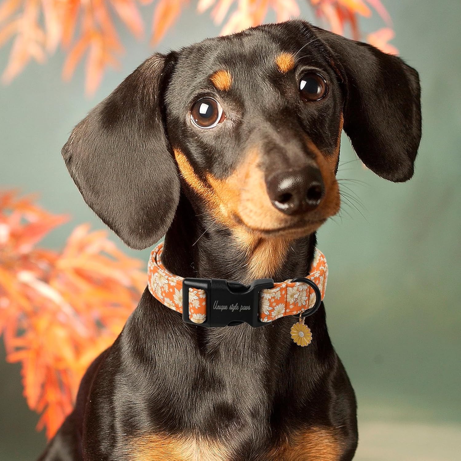 Fall Dog Collar, Unique Style Paws Floral Dog Collar with a Cute Sunflower Pendant, Fancy Pet Gift for Holiday, Suitable for Small, Medium, Large Boy Girl Dogs