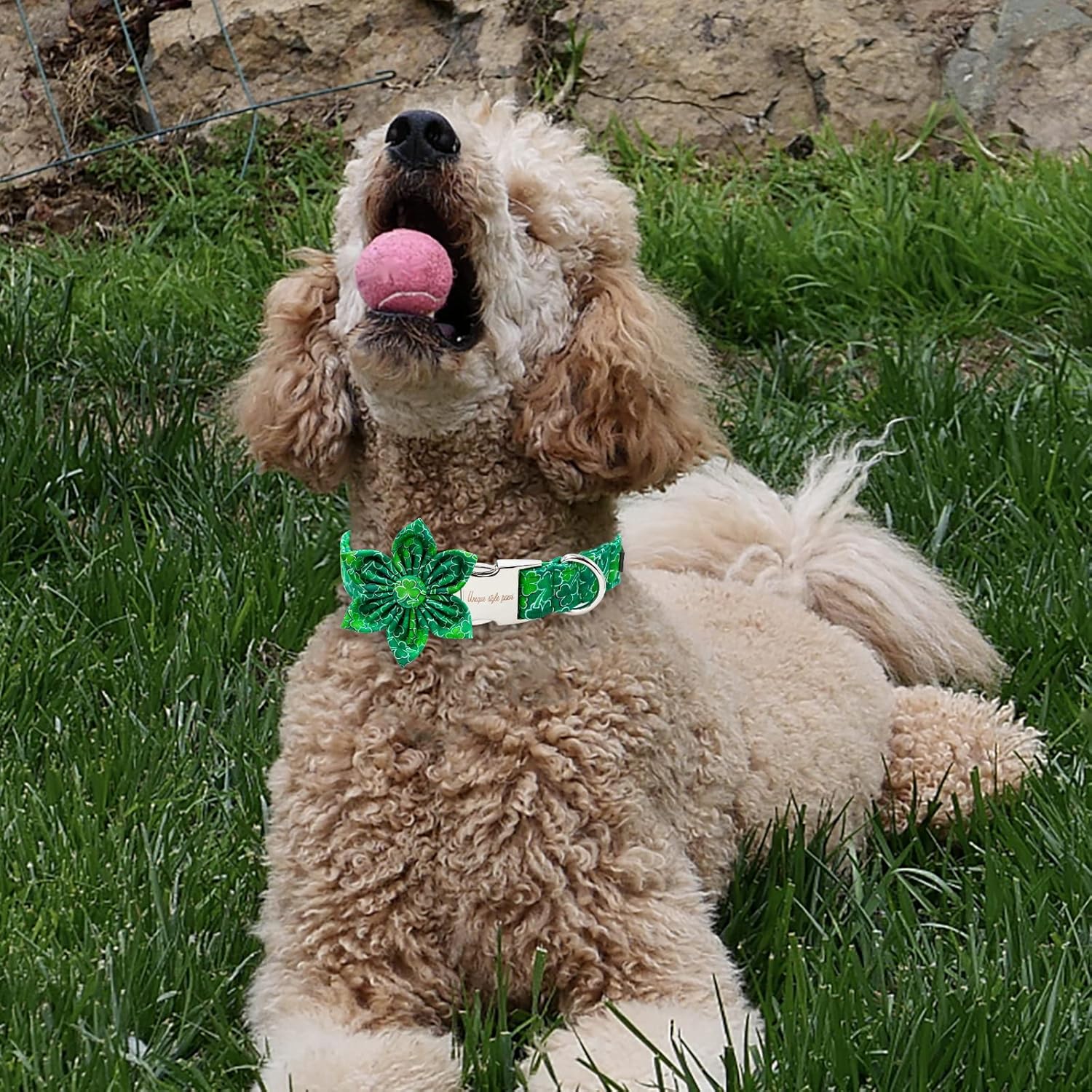 Unique style paws St. Patrick's Day Dog Collar with Flower Green Clover Pet Collar for Small Medium Large Boys Girls Dogs