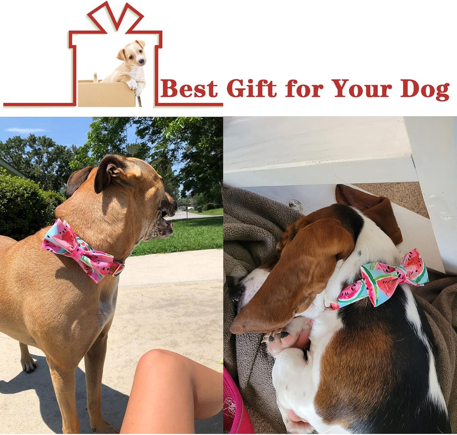 Unique style paws Bowtie Dog Collar Cotton Watermelon Adjustable Summer Collar for Small Medium Large Dogs