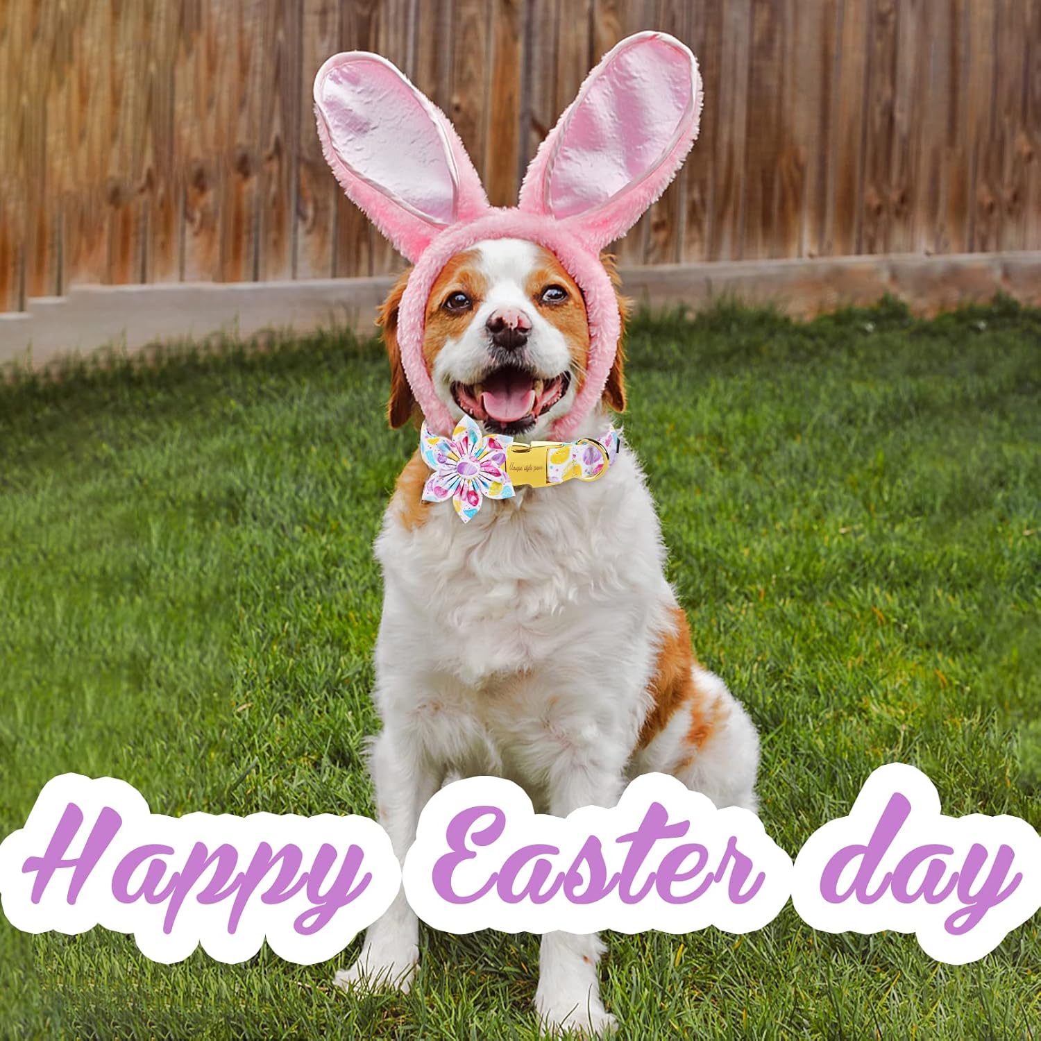 Unique style paws Easter Colorful Egg Dog Collar with Flower Holiday Collar Gift for Small Medium Large Boys Girls Dogs