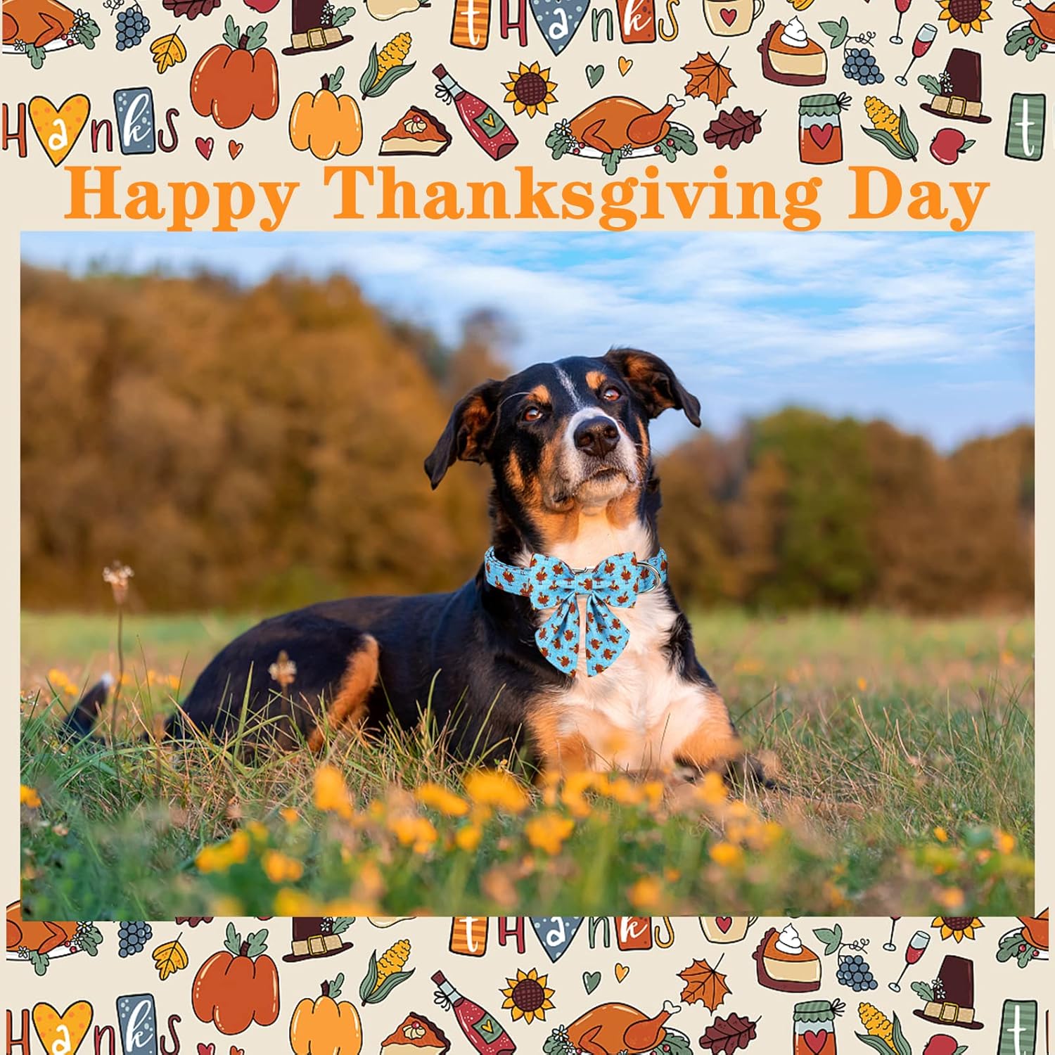 Unique style paws Thanksgiving Dog Collar with Bow Tie Blue Turkey Puppy Collar for Small Medium Large Dogs as Autumn Winter Pet Gifts