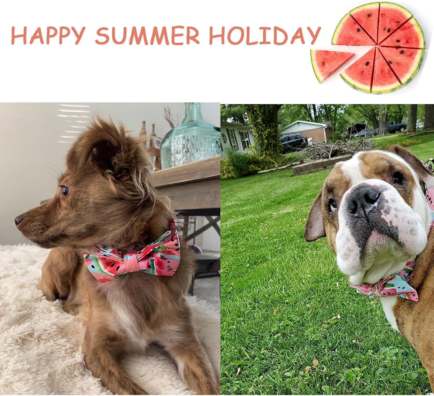 Unique style paws Bowtie Dog Collar Cotton Watermelon Adjustable Summer Collar for Small Medium Large Dogs