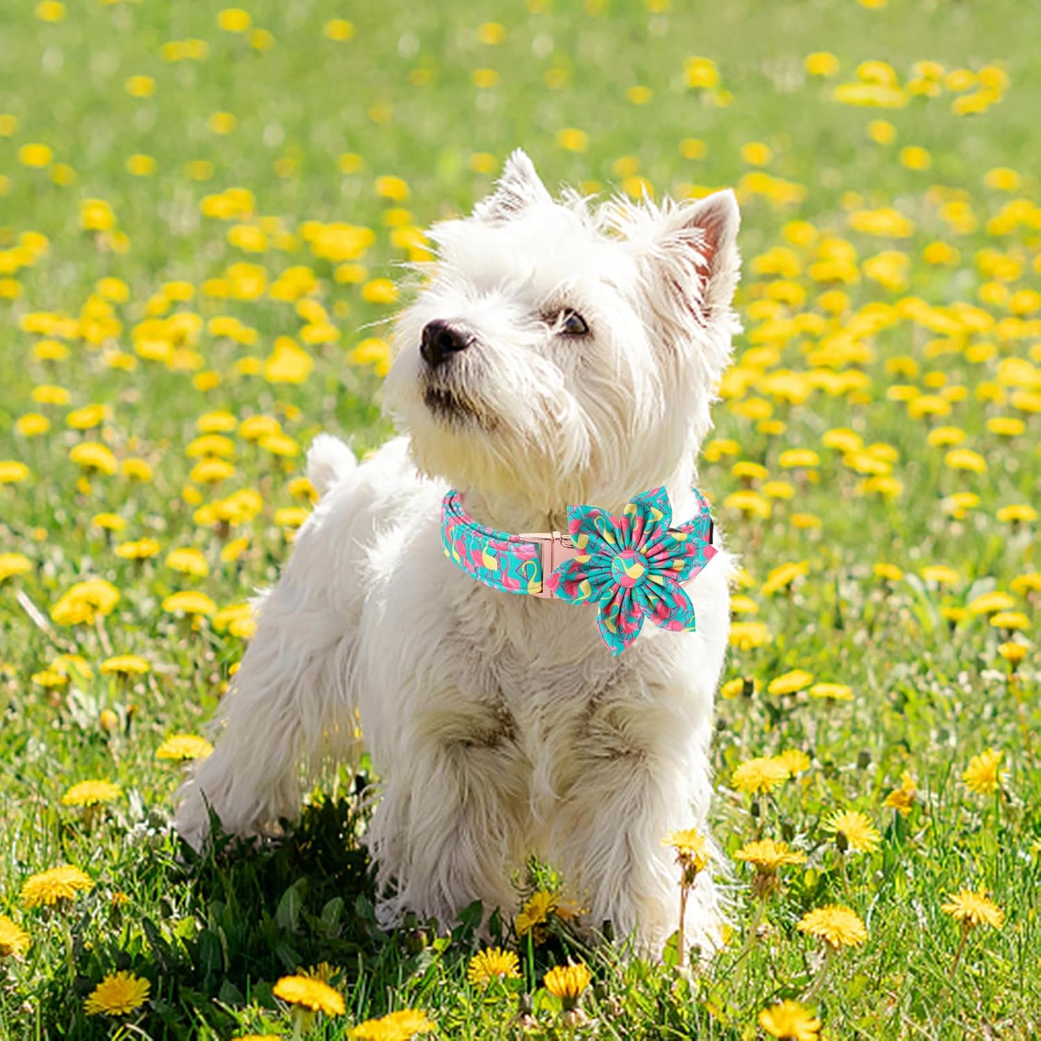 Unique Style Paws Summer Dog Collar with Floral Bow,Flamingo Bow Tie Puppy Collar, Cute Green Dog Bow Collar for Small,Medium,Large Dogs Pets Summer Gifts
