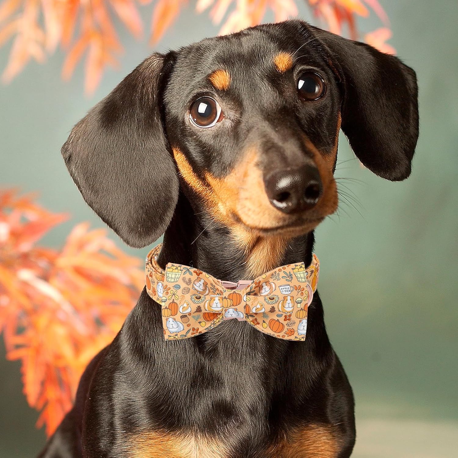 Halloween Dog Collar with Bow, Unique Style Paws Pumpkin Dog Bow Collar, Fancy Pet Gift for Halloween, Fit for Small, Medium, Large Boy Girl Dogs