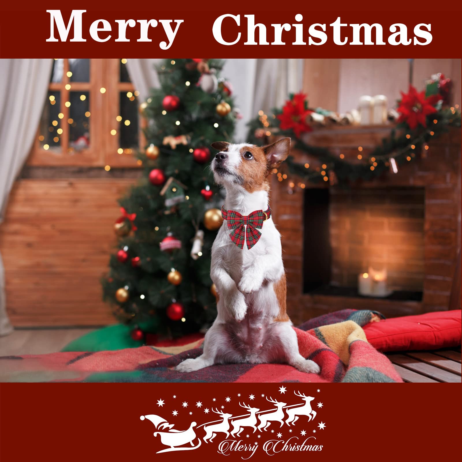 Unique style paws Christmas Dog Collar with Bow Tie Scottish Plaid Puppy Collar for Small Medium Large Dogs as Holiday Autumn Winter Gifts